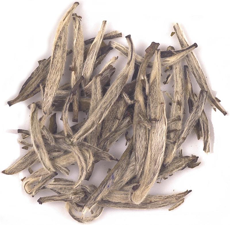 Silver Needles White Tea