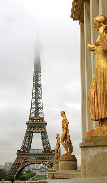 Paris Afternoon Black Tea